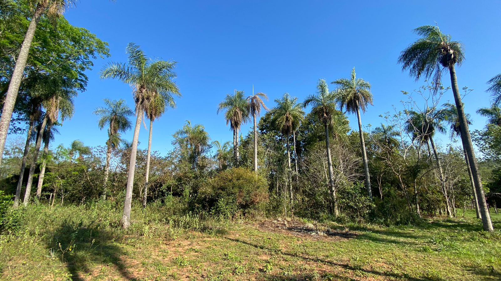 Vendo Terreno Z/ Ruta Altos Atyra — foto 2