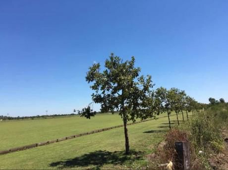 Vendo Terrenos En Surubii De 1500 M2 !! En Zona Alta