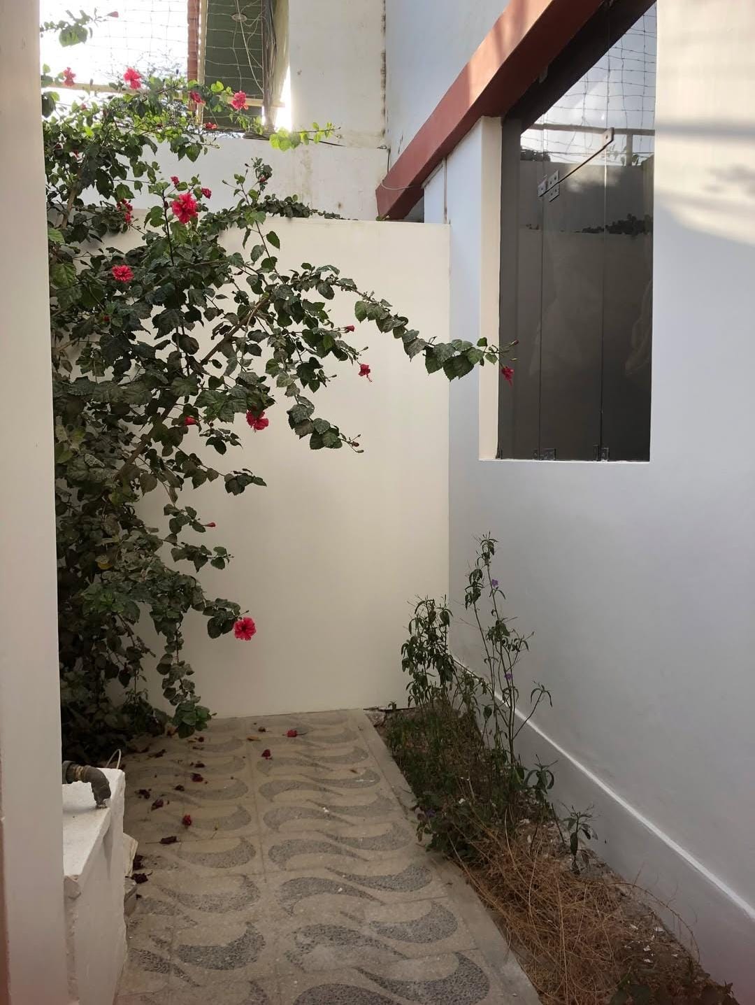 Imagen 6 de Casa
