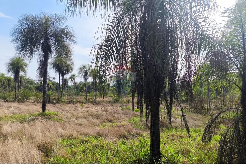 Terreno en Eusebio Ayala: ¡Tu inversión ideal! — foto 2
