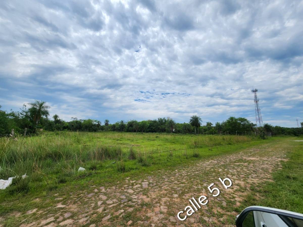 Vendo Terreno en Ciervo Cuá – San Bernardino — foto 2