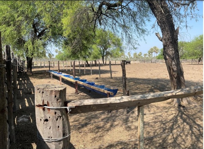 Vendo Propiedad Rural de 1.201 Hectáreas, Distrito Fortín Caballero-CLCS7850864 — foto 3