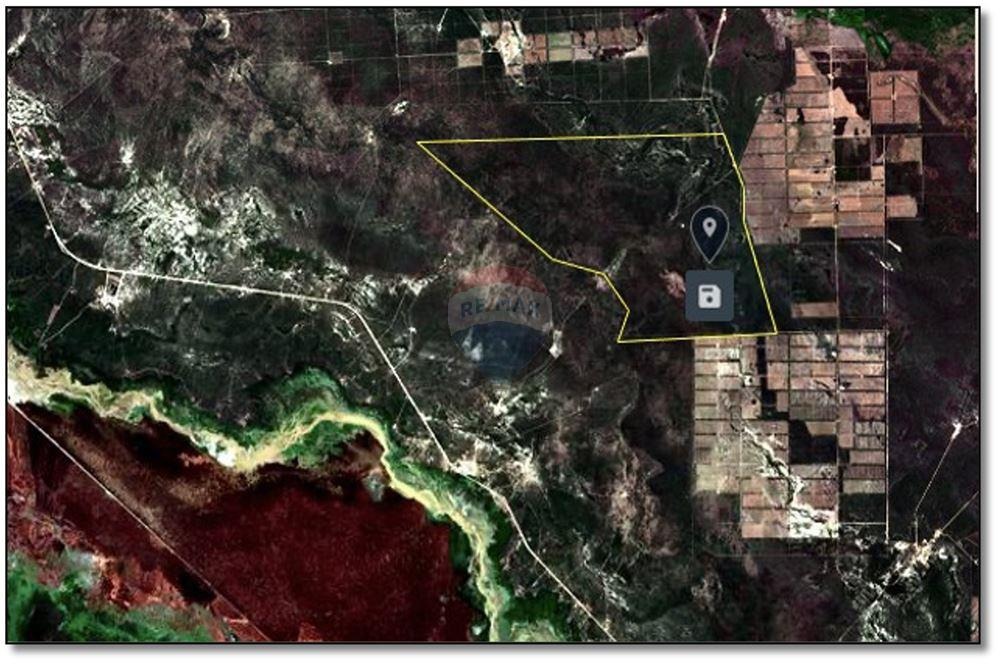 Campo de 8.141 Hectáreas en el Departamento de Boquerón — foto 3