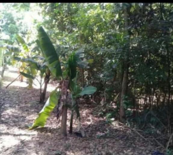 Terreno en Venta -Piribebuy - 4 Lotes juntos — foto 2