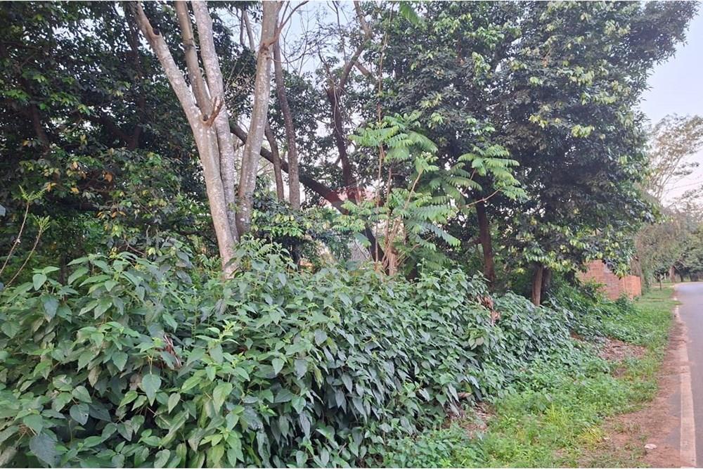 "Aprovechá Este Terreno Único en San Bernardino" — foto 2