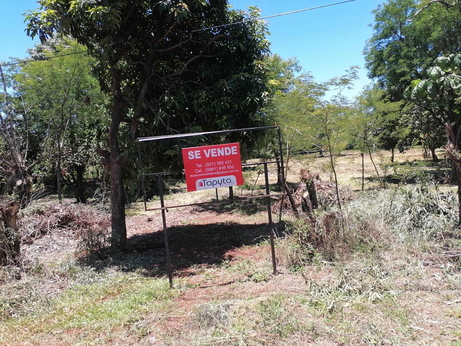 Excelente Oportunidad - Hermoso Terreno En Encarnación — foto 2
