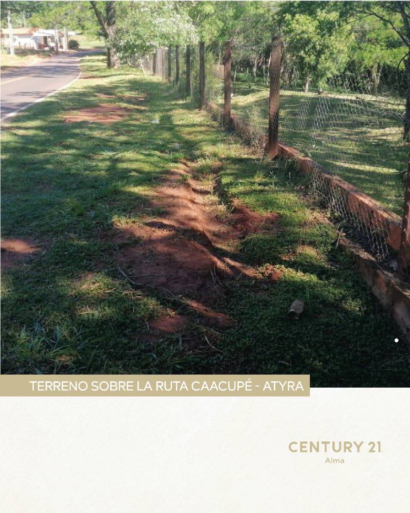 Vendo Hectareas En Caacupe — foto 3