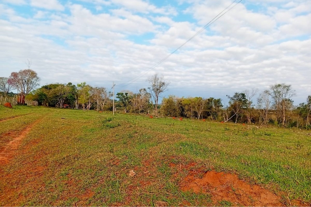 Vendo 145 HECTÁREAS en CAAGUAZÚ, Paraguay — foto 3