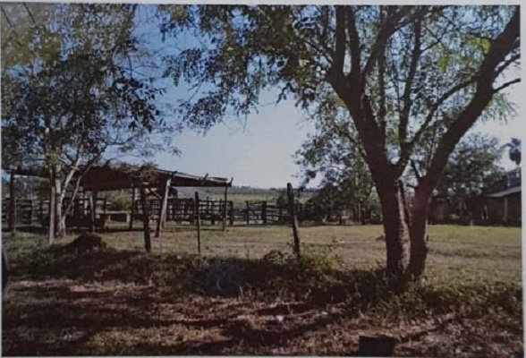 Vendo Propiedad Rural de 3,2 Hectáreas en el Centro de Itakyry - LCS7842277 — foto 3