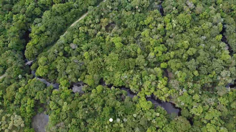 Vendo Campo de 13.700 Hectáreas, Ubicado Sobre la Ruta 12-CLCS5524303 — foto 2