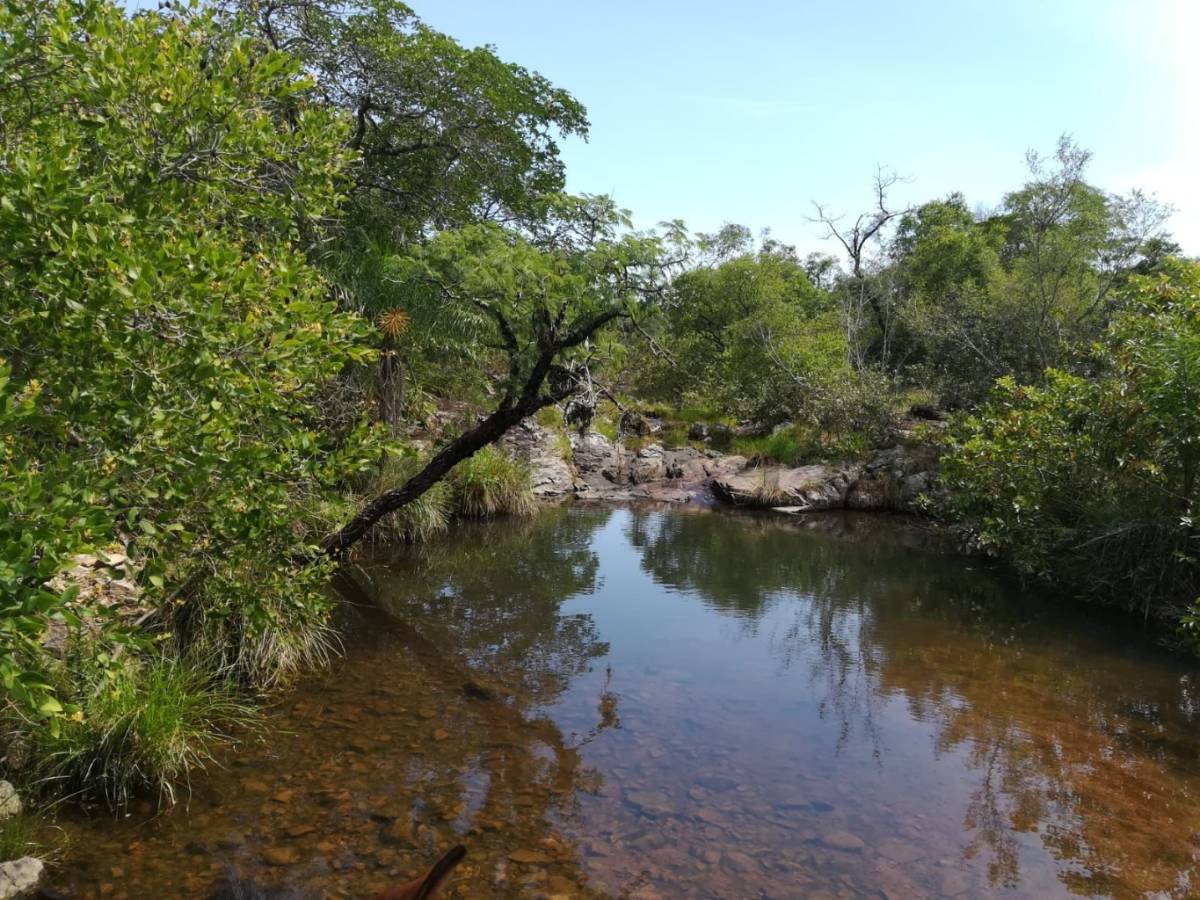 Vendo estancia en Caapucu - Departamento de Paraguarí — foto 2