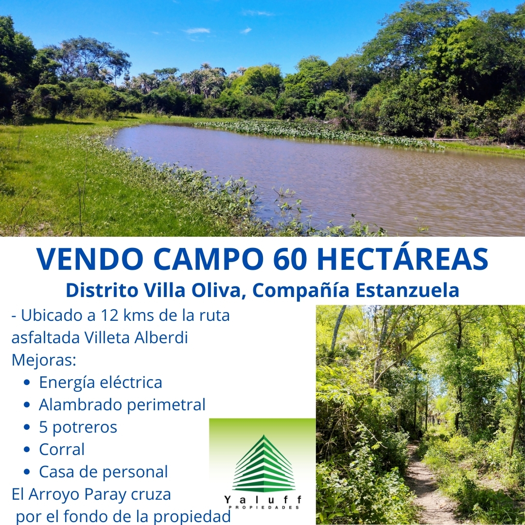 CAMPO EN ESTANZUELA VILLA OLIVA DE 60 HAS PARA GANADERÍA