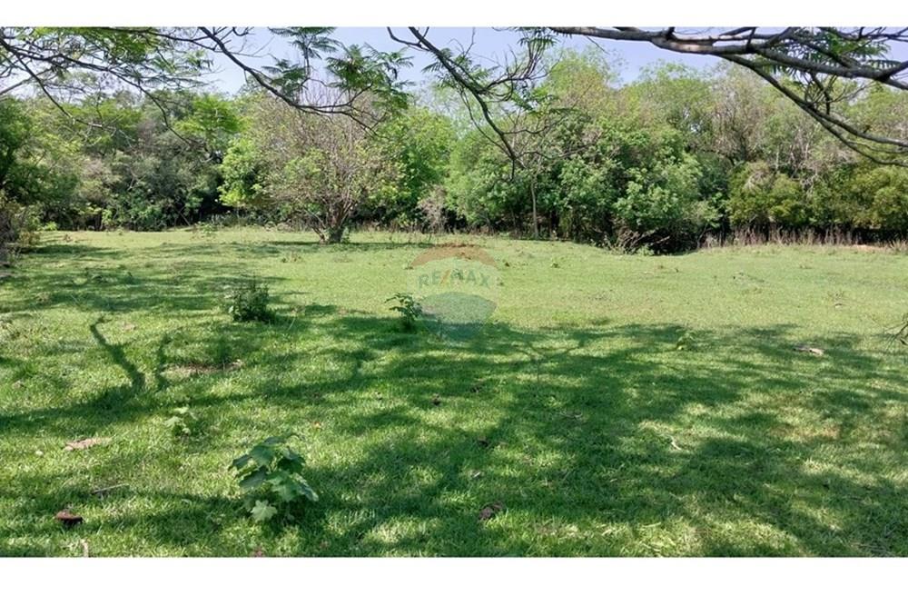 Estancia/Campo - Venta - Isla Pucú, Paraguay — foto 2