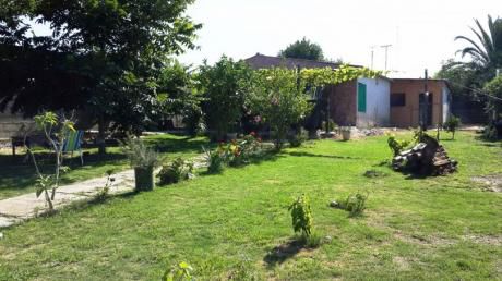 Casa Y 2 Apartamentos En Gran Terreno!!