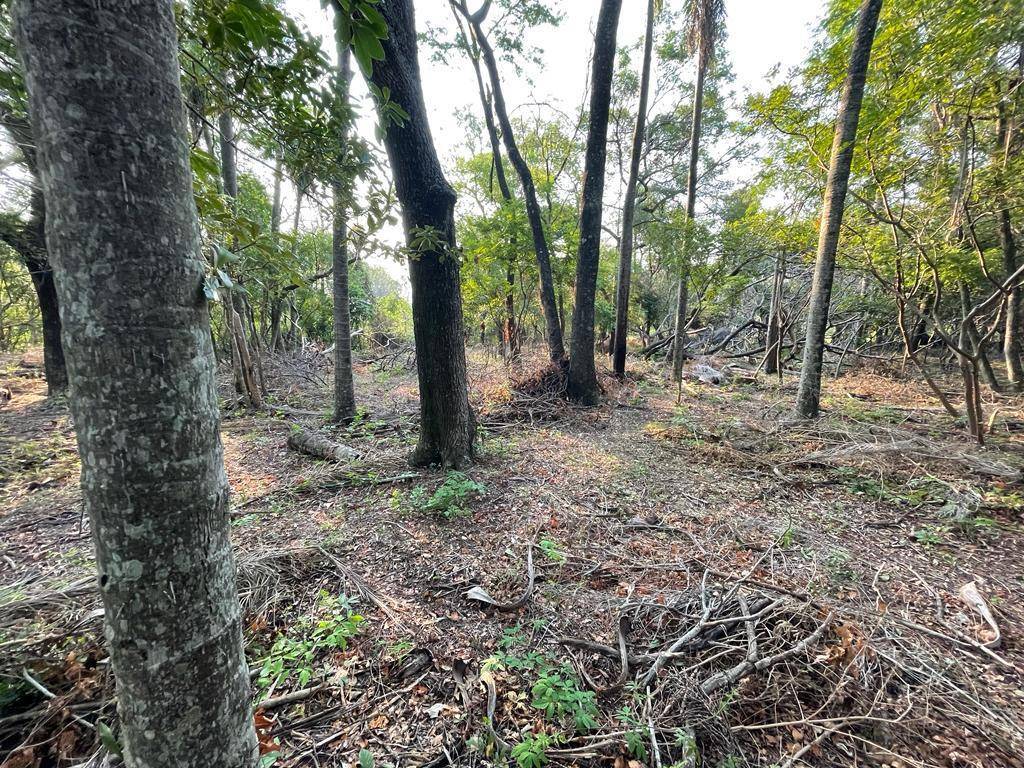 VENDO 5 TERRENOS EN LA URBANIZACION CIERVOS KUA — foto 3