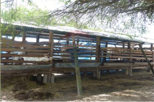 EN VENTA CAMPO/ESTANCIA EN BENJAMÍN ACEVAL-PTE HAY — foto 3