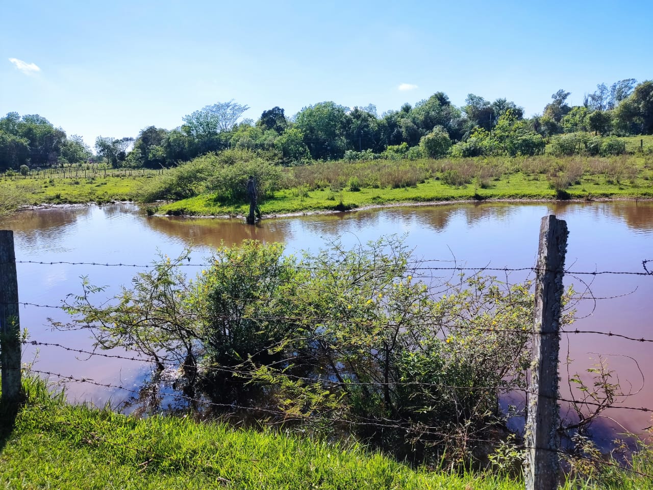 Vendo Propiedad de 52 Ha. En Ybycui sobre ruta — foto 3