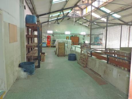 Excelente Nave Industrial, Estratégicamente Ubicada