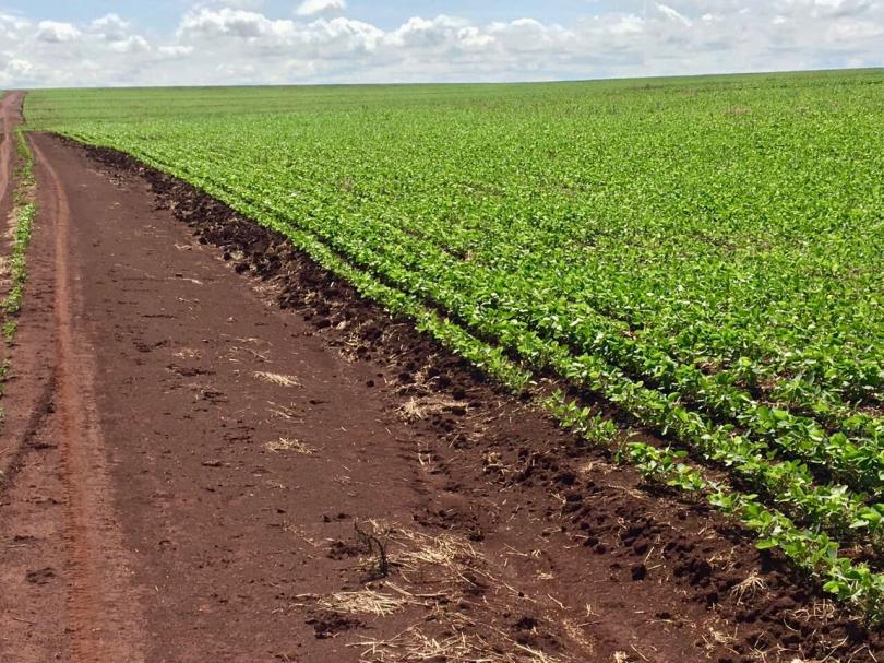 Campo con 4.500 Has En Amambay — foto 2