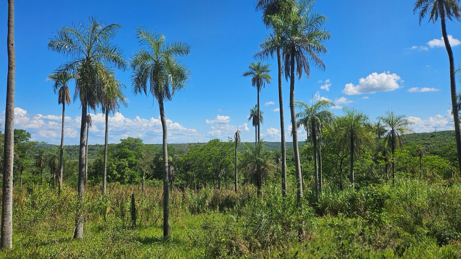 Terreno en venta en Loma Grande — foto 3