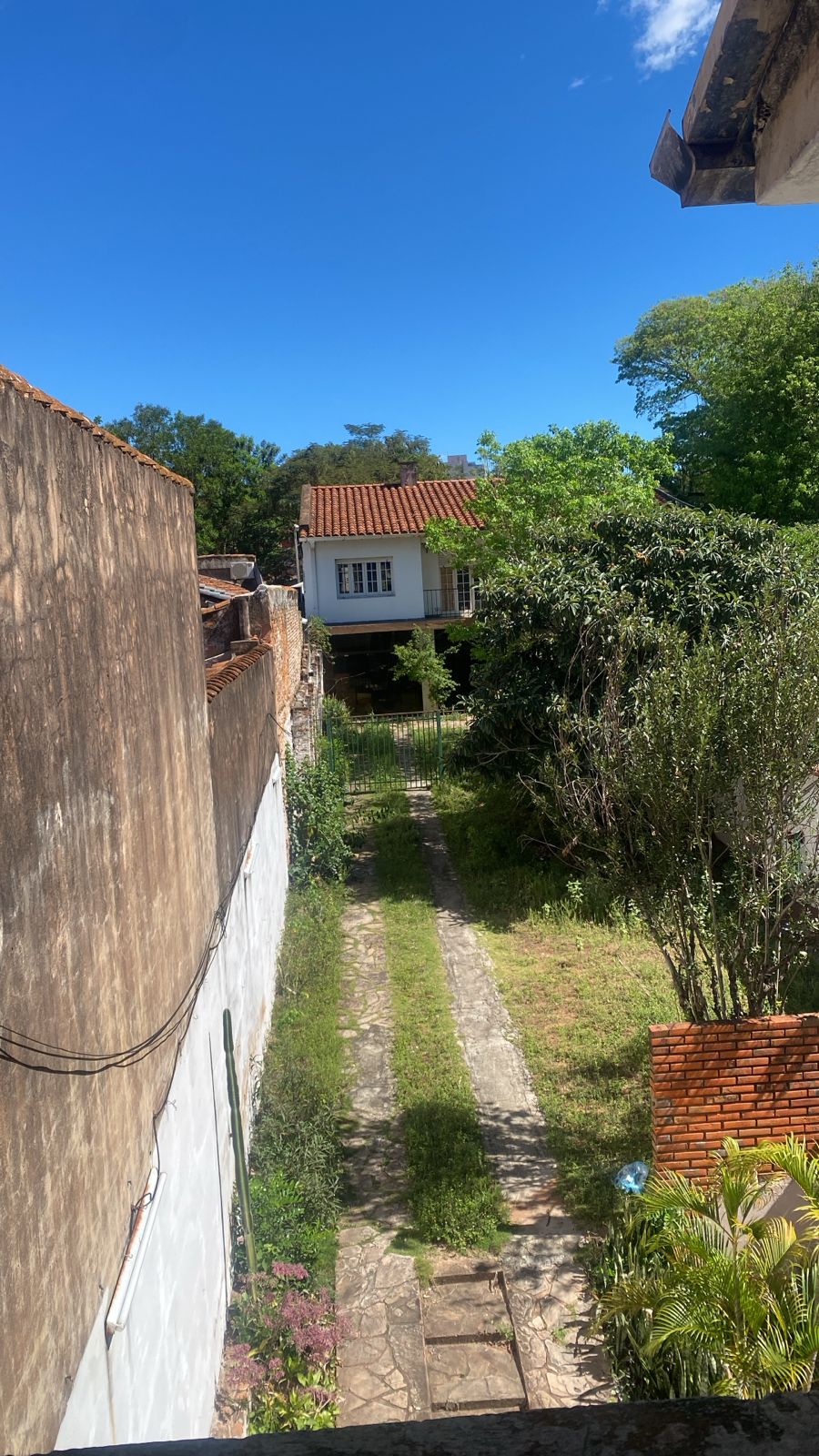 Inmueble 980 m2 Con Renta — foto 3