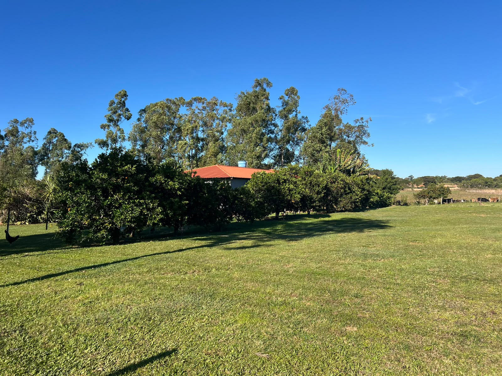 En Venta Terreno Amplio, Guaira, Mbocayaty — foto 3