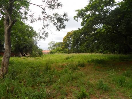 Terreno En La Ciudad De Luque – Barrio Laurelty