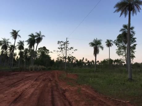 Campo En Yaguarón Apto Para Cultivo Y Ganaderia