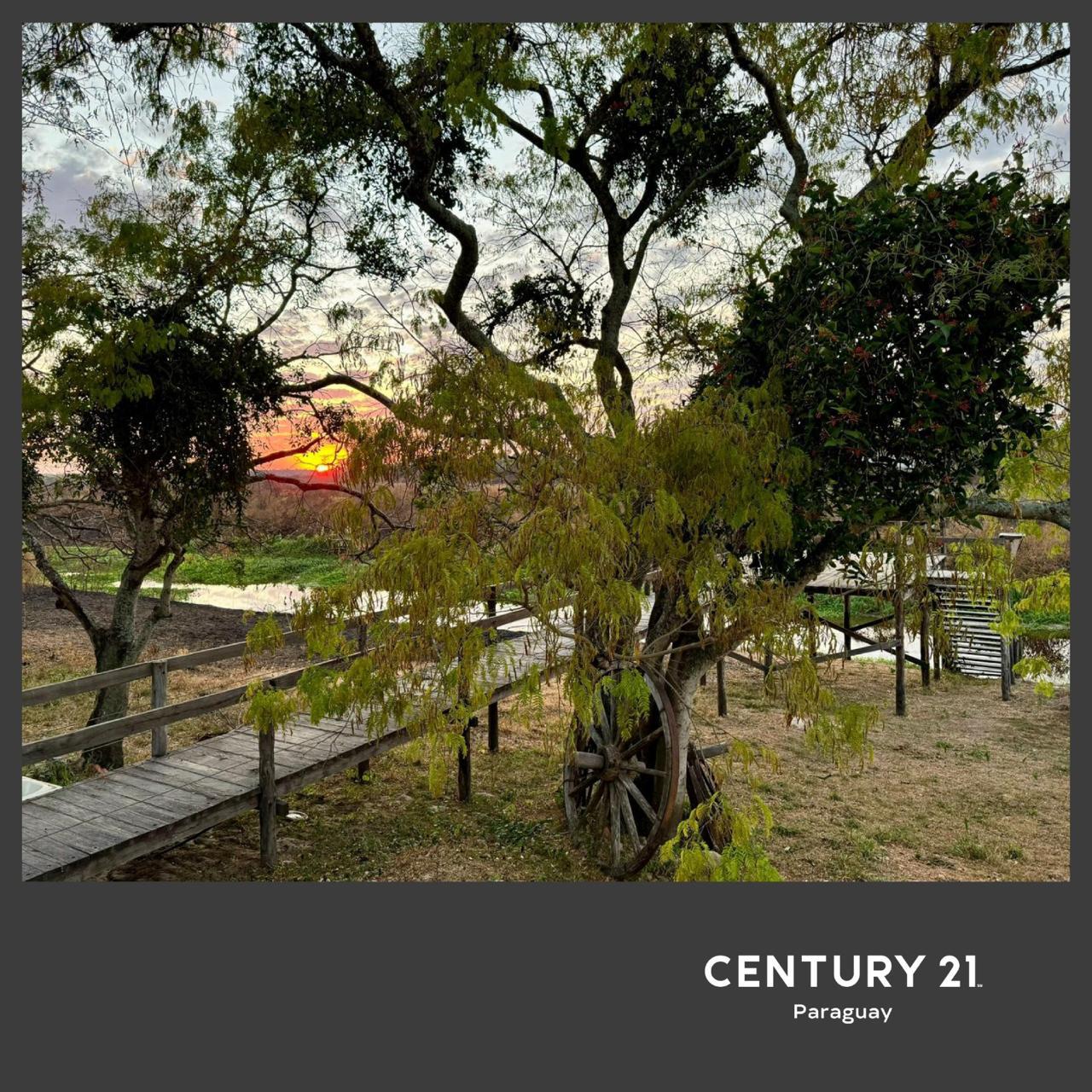 VENTA DE ESTANCIA DE 7.686 HECTÁREAS – FUERTE OLIMPO — foto 3