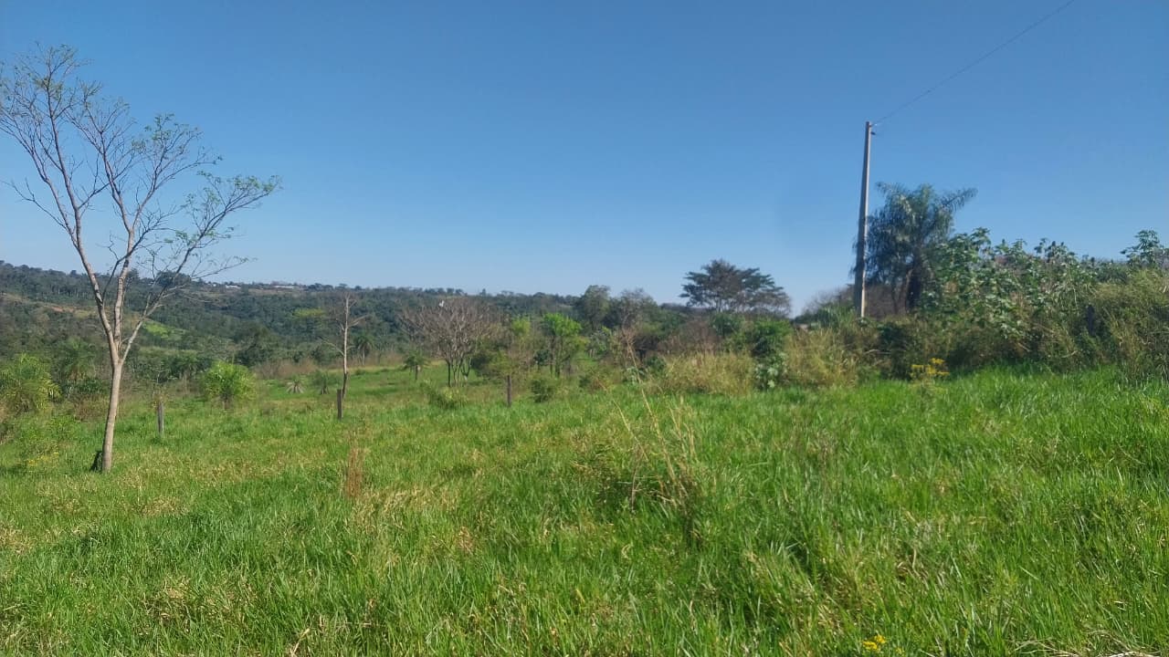 Vendo Hectareas a pocos metros de la ruta PY02 en caaguazu — foto 2