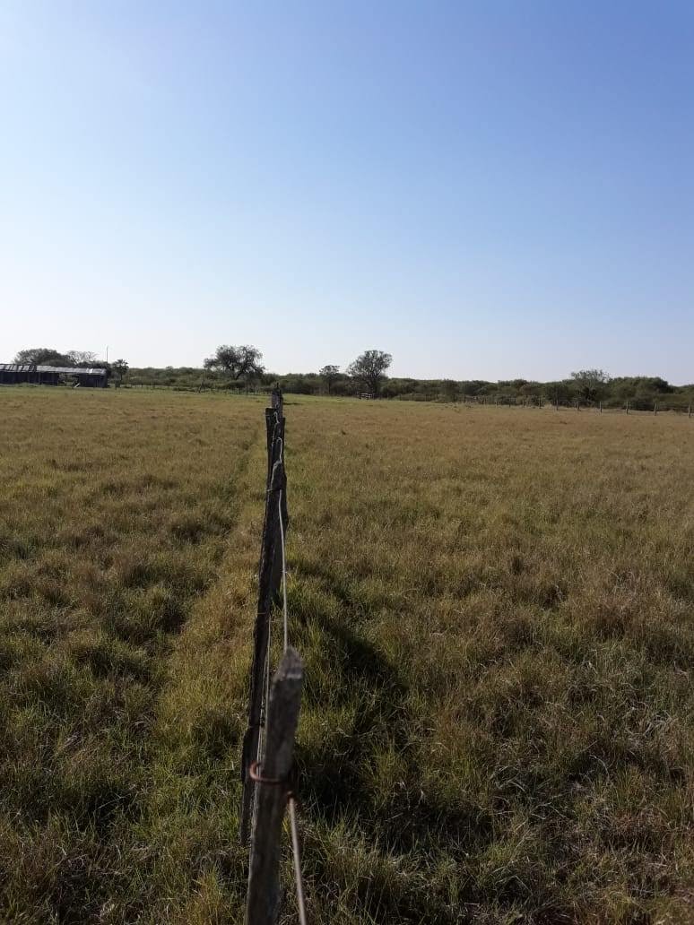 VENDO ESTANCIA EN FUERTE OLIMPO — foto 3