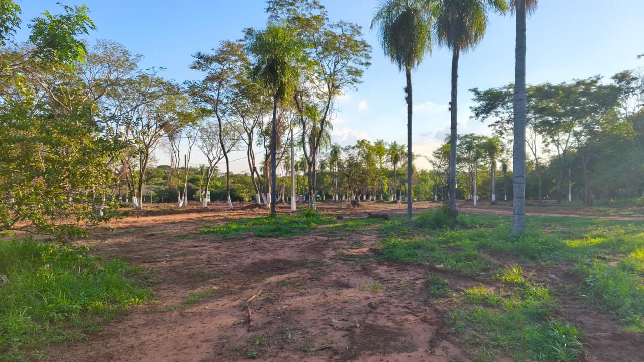Terreno en venta en Luque — foto 2