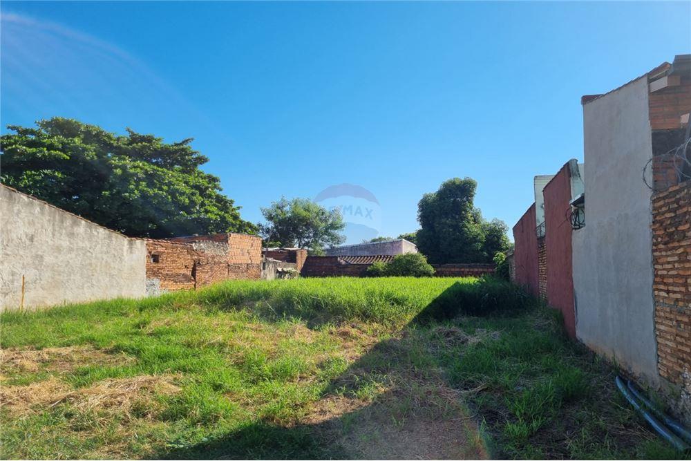 VENDO TERRENO EN FERNANDO DE LA MORA-Z/SUR — foto 3
