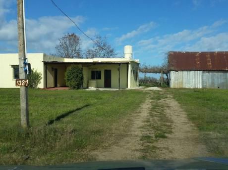 Viñedos En Cno De Los Granjeros (casi Av. Mendoza)