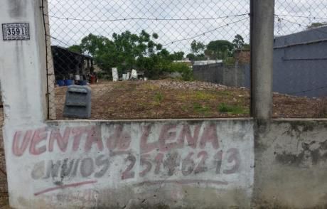 Terreno En Génova Y Cicerón