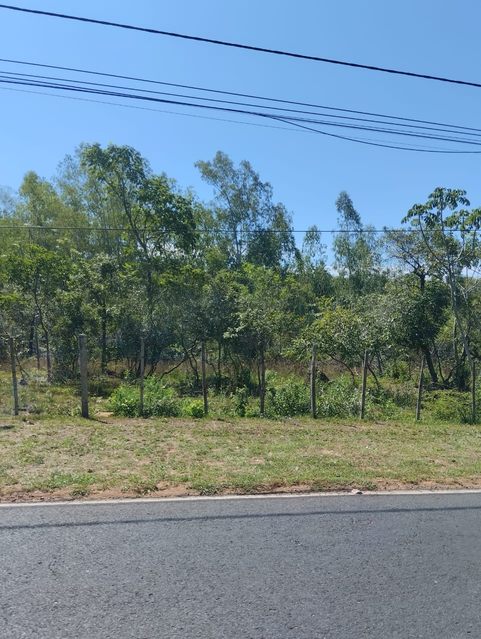 vendo terreno — foto 2