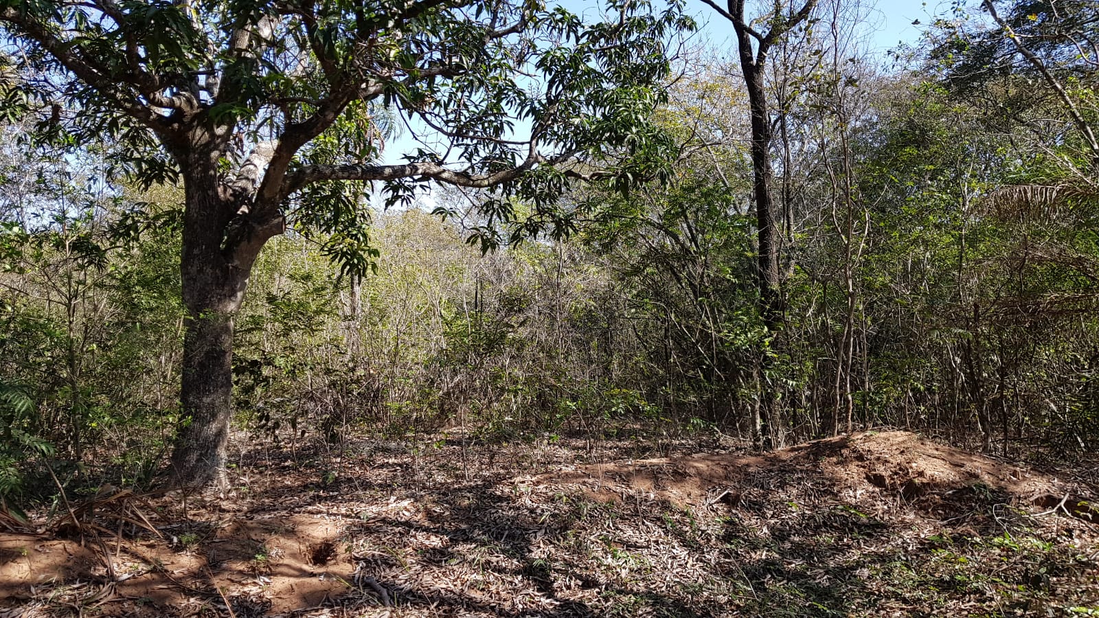 Terreno-venta-san Bernardino- Cordillera — foto 3