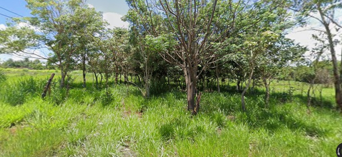 VENDO HERMOSO TERRENO EN SALTO DEL GUAIRÁ — foto 3