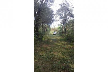 Vendo Terreno En San Bernardino