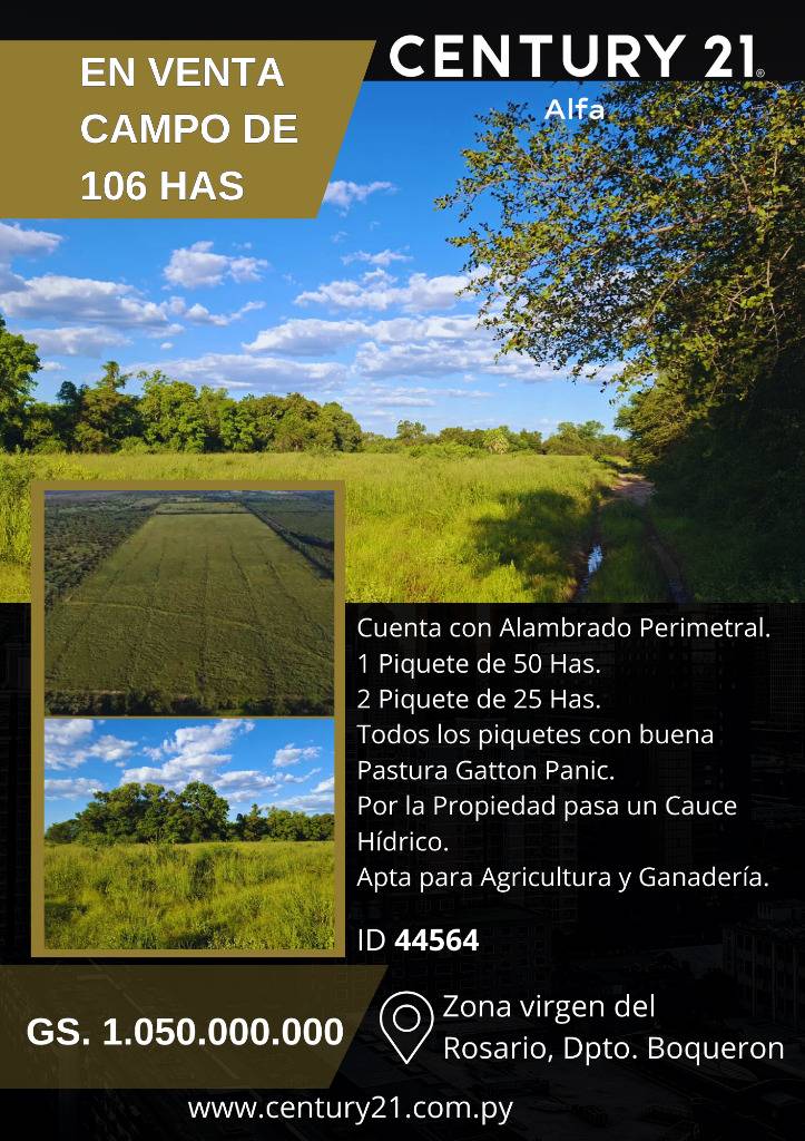 Campo en venta en Filadelfia — foto 2