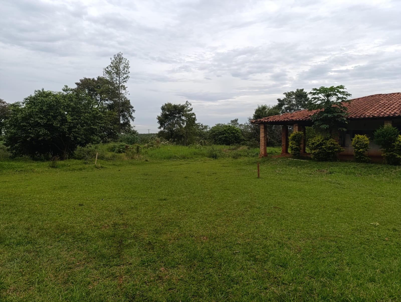 VENDO 40 HECTAREAS EN KM 28 MINGA GUAZU ALTO PARANÁ — foto 2