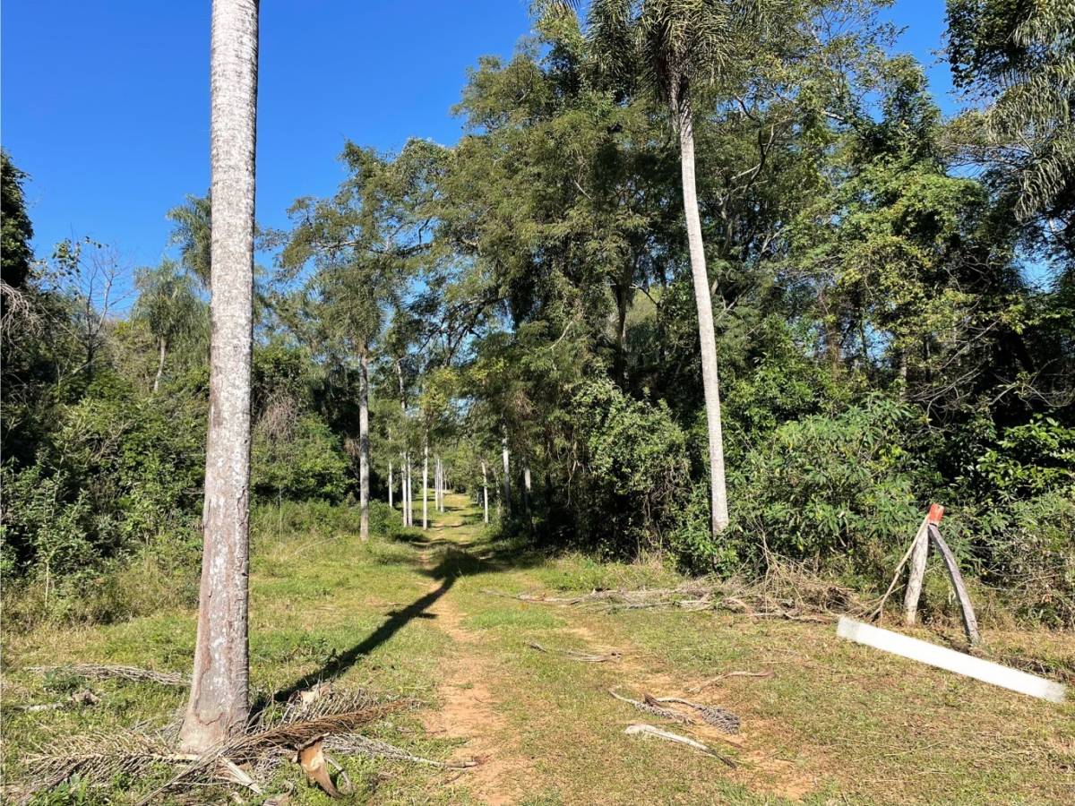 SE VENDE TERRENO DE 850 M2 EN SAN BERNARDINO, LA GRUTA — foto 2