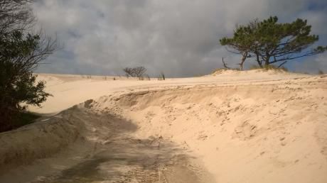 Terreno Frente Al Mar En El Pinar, Punta Pinares