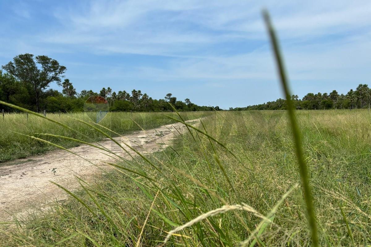 VENDO CAMPO VIRGEN EN CHACO PUERTO PINASCO 5000 HAS — foto 3