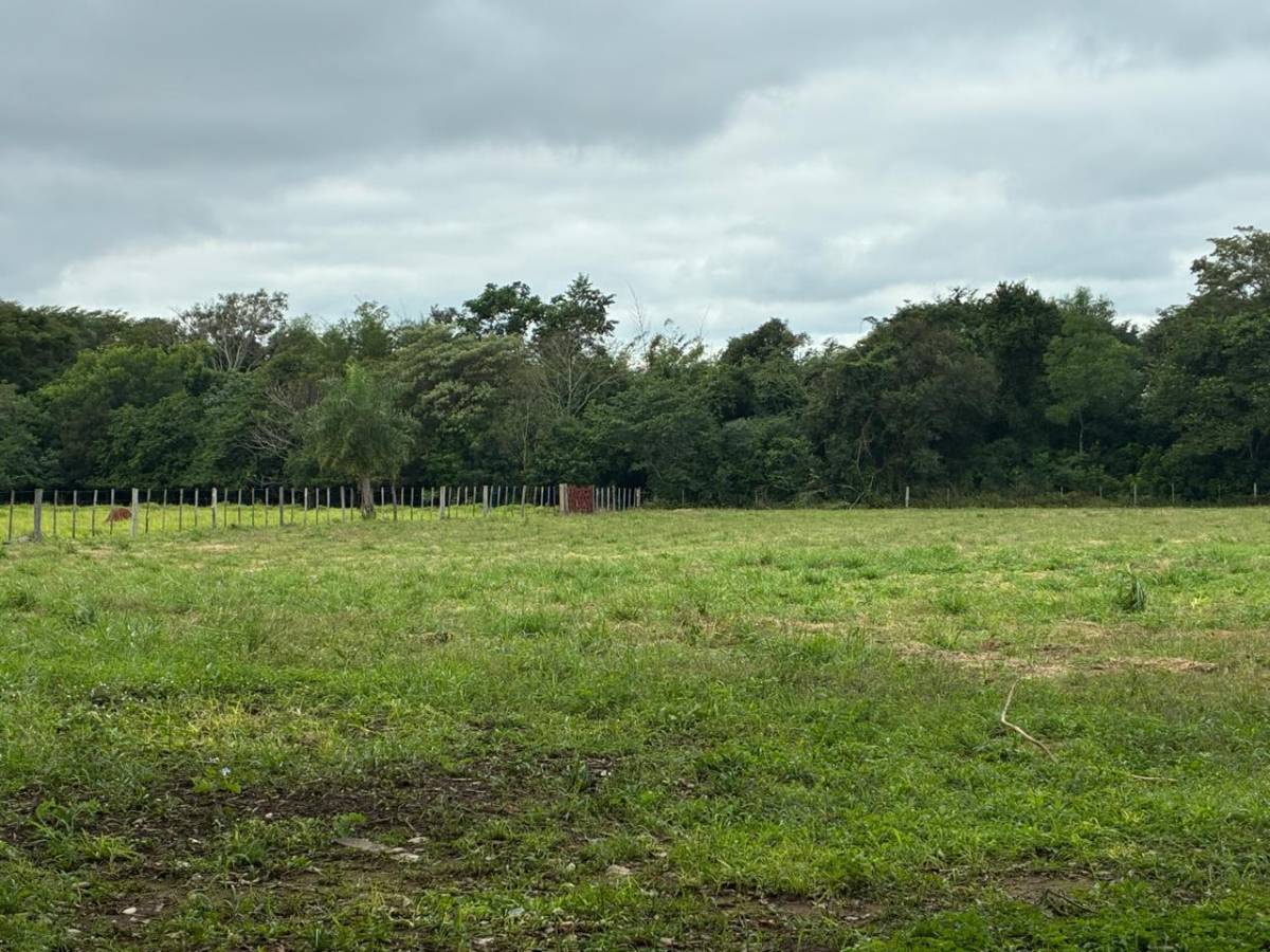 VENDO 10 HECTÁREAS SANTA ELENA CORDILLERA — foto 2