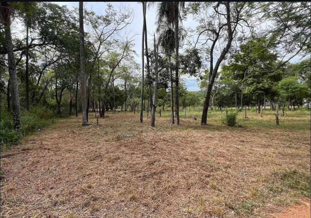 EN VENTA AMPLIO TERRENO EN SAN BERNARDINO ZONA CIERVO CUA — foto 2