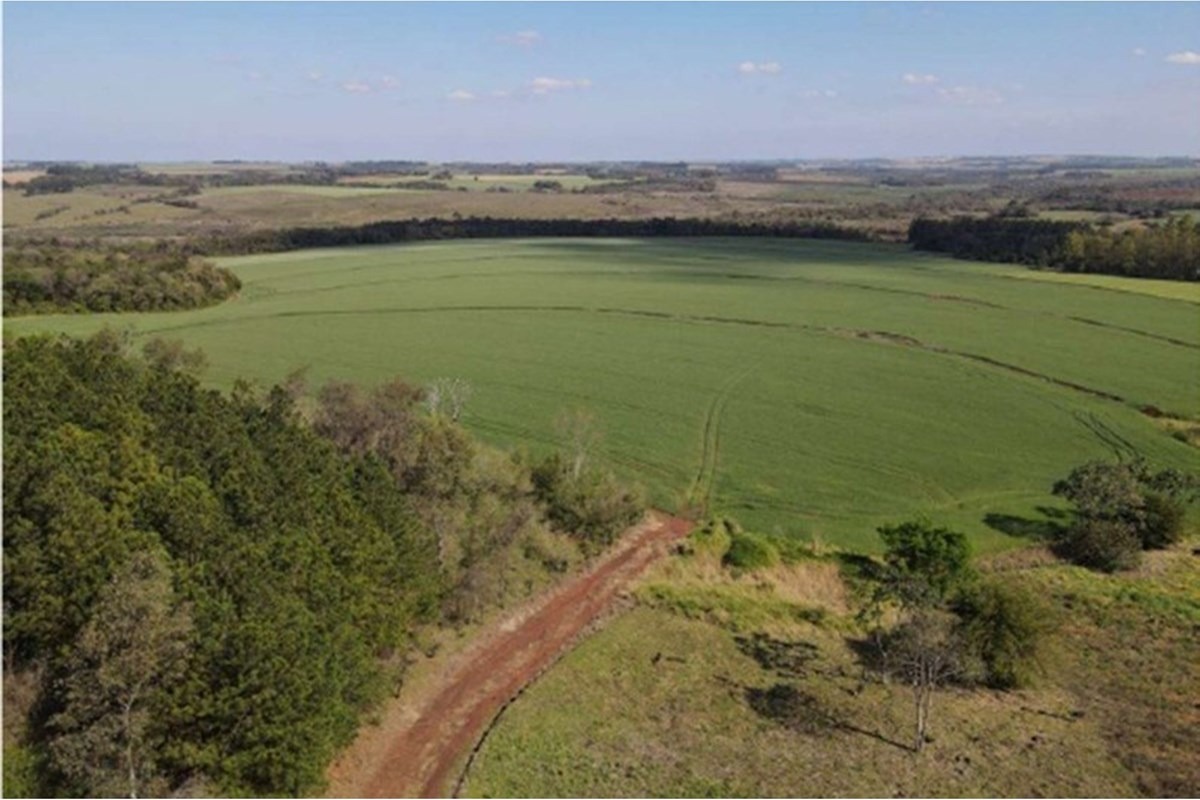 87 Hectáreas con 1.836 m2 de terreno en Itapúa, Paraguay — foto 3