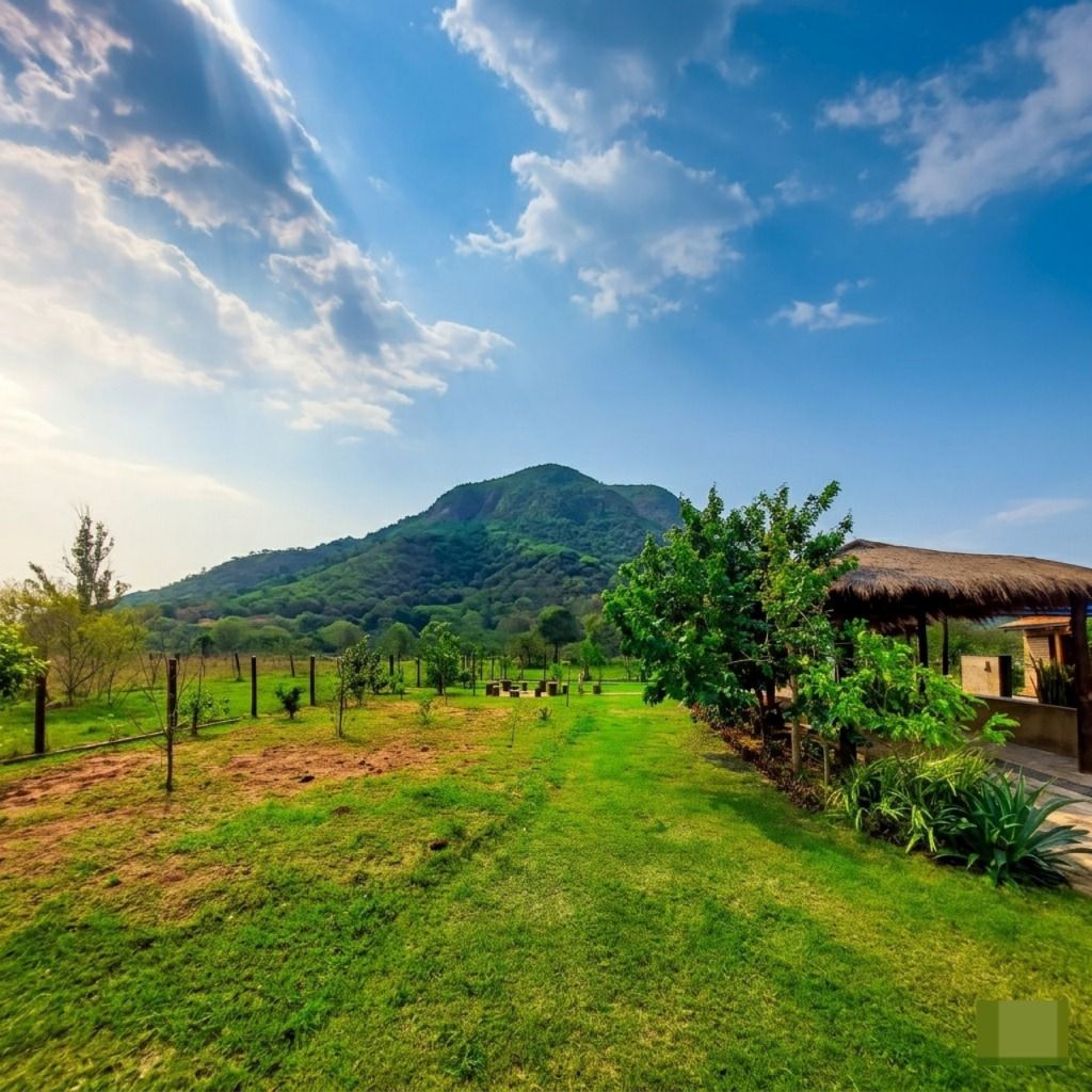 Casa quinta en venta en Paraguari — foto 3