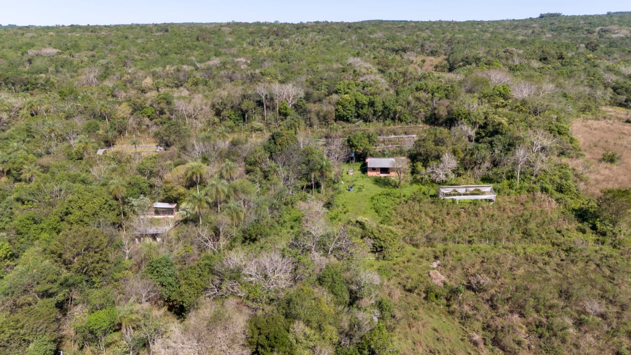 Terreno en Venta Piribebuy — foto 3