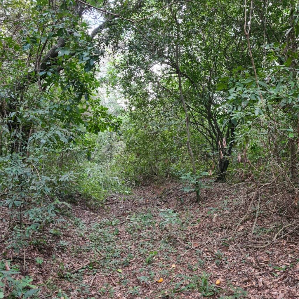 EN VENTA TERRENO EN ATYRA DE 9,3  HECTAREAS — foto 2